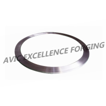 seal ring for for Aerospace